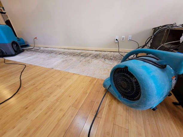 Professional Water Removal technician working in Medusa, NY